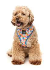 Fresh Zest - Dog Harness